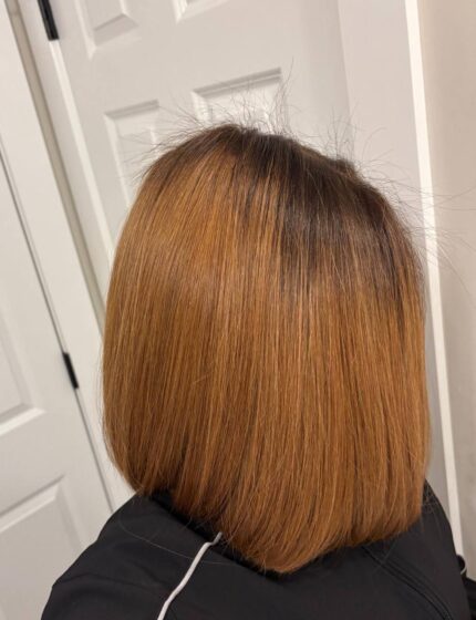 Chestnut Root Silk Straight — 12” HD Closure Wig